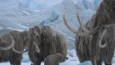 Bild zu Artikel Ein Planet vor unserer Zeit: Eiszeit