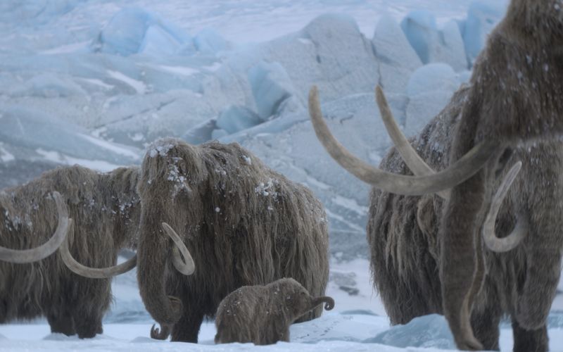 Mit "Ein Planet vor unserer Zeit: Eiszeit" wagt sich die Reihe in neue Gefilde vor. Statt Dinosauriern spielt nun die Riesenfauna der Eiszeit die Hauptrolle. Zu sehen gibt es die Natur-Dokuserie ab 26. November bei Apple TV.