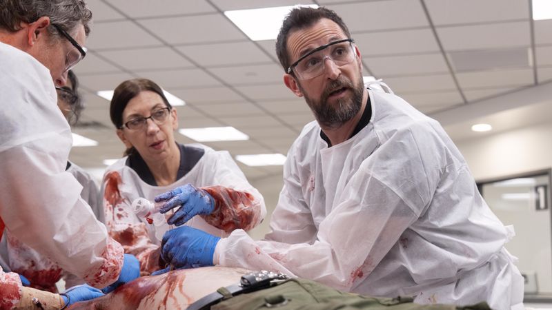 Streaming-Highlights im Januar