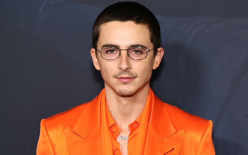 Er ist längst nicht mehr aus der Traumfabrik wegzudenken: Timothée Chalamet zählt zu den Stars, denen die Zukunft in Hollywood gehört. Anlässlich seines 30. Geburtstags am 27. Dezember zeigt die Bildergalerie seine außergewöhnliche Karriere.