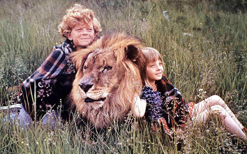 So harmonisch wie in diesem Bild ging es am Set von Disneys "Flucht in die Wildnis" (Bild) nicht immer zu. Major-der-Löwe-Darsteller Zamba machte einmal seiner Klassifizierung als Raubkatze aller Ehre, als er die kleine Jodie Foster (rechts, mit Johnny Whitaker und Zamba) plötzlich angriff. "Der Löwe hob mich hoch, schüttelte mich durch (...) und ließ mich dann fallen", sagte Foster dem "W Magazine". Danach habe sie an der Hüfte Bisswunden gehabt und musste im Krankenhaus behandelt werden.