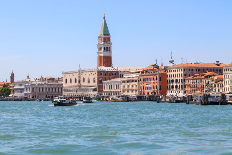 Die Ausbreitung der Meerwalnuss bedroht die Lagune von Venedig.