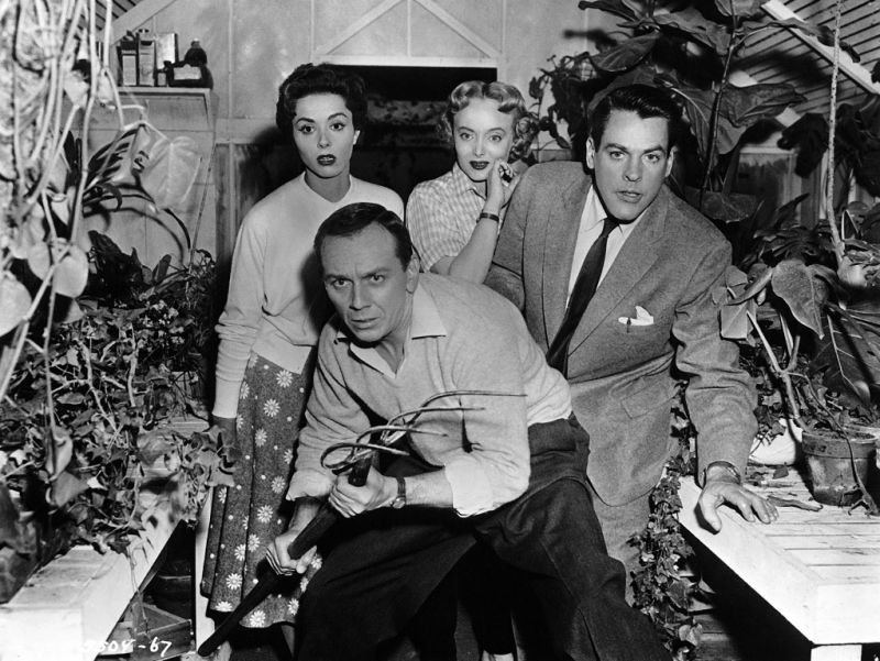 Sie tragen Titel wie "Plan 9 aus dem Weltall", "Die Satansweiber von Tittfield", "Blob - Schrecken ohne Namen" oder entstanden wie "Die Dämonischen" (Bild) nach einer Romanvorlage namens "Die Körperfresser kommen": billig produzierte Filme, die ab den 50er-Jahren zu Hunderten auf den Markt kamen. Wir zeigen die besten B-Movies aller Zeiten.