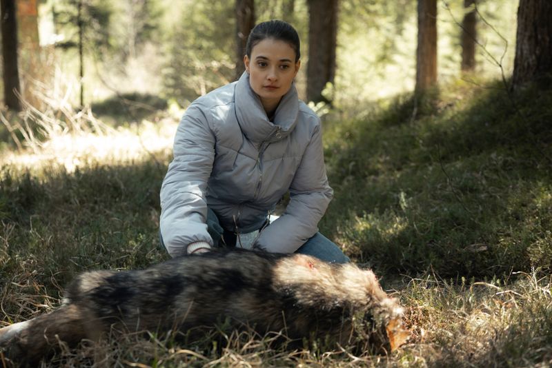 Jemand hat einem Wolf den Kopf abgetrennt und ihn dem Tierschützer und Aktivisten Fabian Pongratz zugeschickt. Eine Ankündigung des kurz darauf folgenden Mordes an Pongratz? Die junge Kommissarin Daphne (Philine Schmölzer) hat als neue leitende Ermittlerin einen konfliktreichen Fall vor sich.