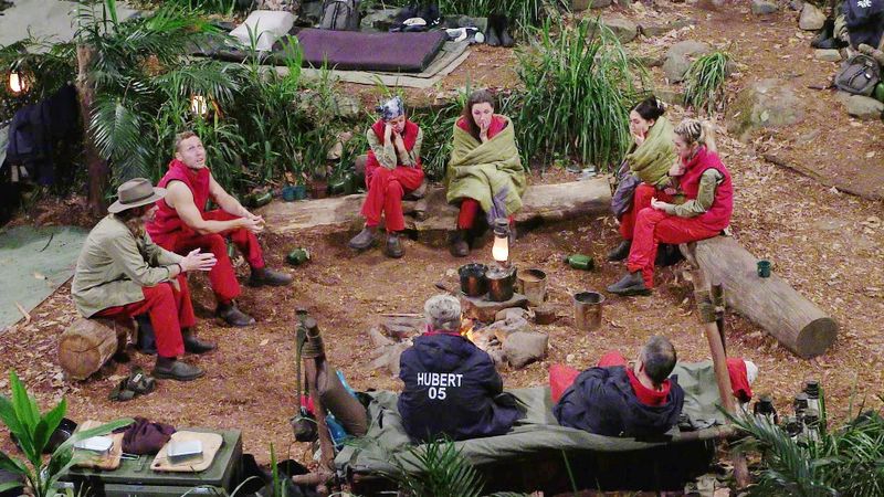 Zunächst war an Tag 14 im RTL-Dschungelcamp alles wie immer: Ariel schoss massiv gegen Gil. Altes Lied, neue Strophe: "Du bist verlogen von vorne bis hinten." 