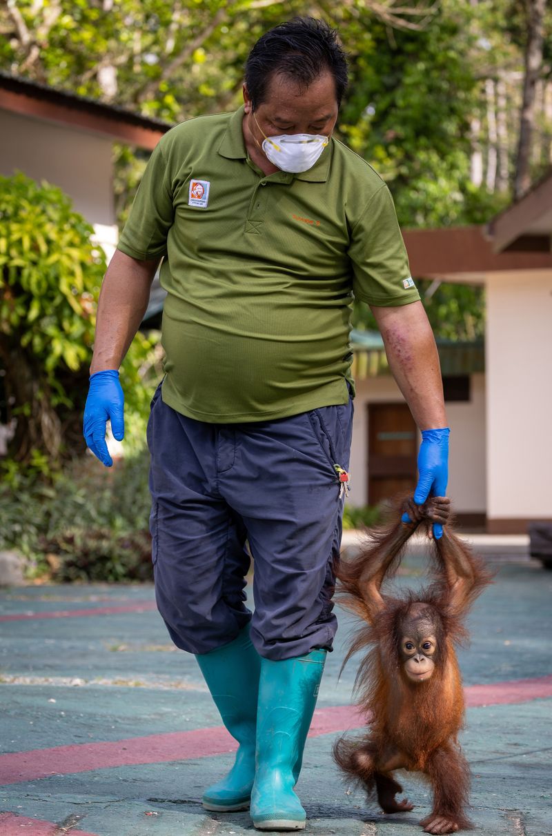 Waisenkind Addy wird von ihrem Pfleger liebevoll umsorgt. Sie bekommt Milch, Obst und ab und zu eine Unterrichtsstunde im Klettern.