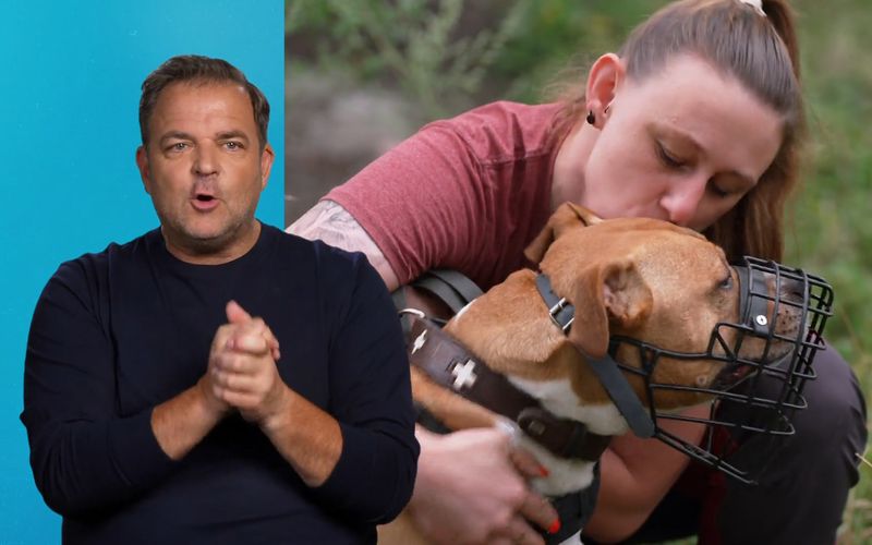 Hundetrainer Martin Rütter sucht ein Zuhause für Geronimo (11).