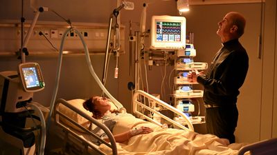 Bild zu Artikel Frühling: Leben oder nicht!