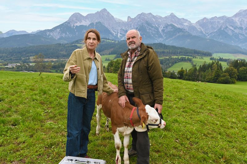 Um das verletzte Kalb Bella im Stall besser versorgen zu können, müssen Tierärztin Dr. Johanna Maiwald (Doris Schretzmayer) und Andreas Reindl (August Schmölzer) auch die Mutterkuh von der Weide holen. 