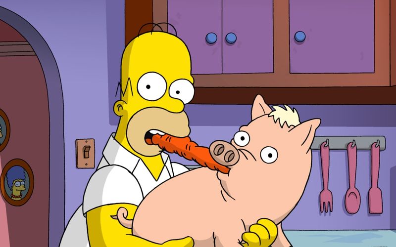 Ein kurzer Blick in Homers Führerschein während der 16. Episode in Staffel vier verrät: Das Simpsons-Oberhaupt wurde am 12. Mai 1956 geboren.