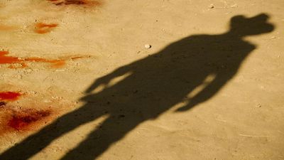 Bild zu Artikel Django Unchained