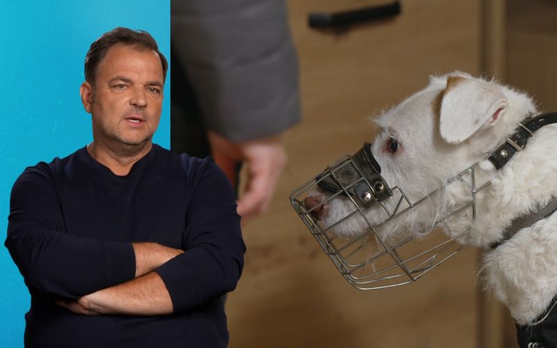 Martin Rütter ist geschockt: Der elfjährige Rüde Elvis hat einen inoperablen Tumor.