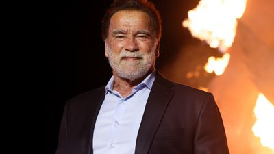 Bild zu Artikel Arnold Schwarzenegger
