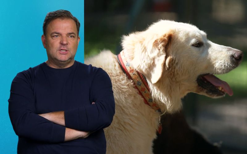 Hundetrainer Martin Rütter ist erschüttert über die Geschichte von Willi (B.) und Bruno.