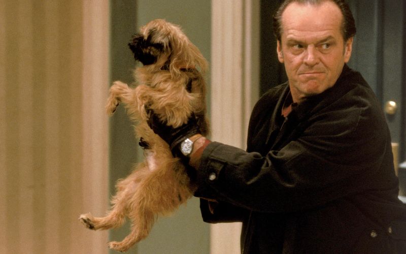 Ein Pinscher erschüttert Melvins (Jack Nicholson) Sauberkeitswahn in seinen Grundfesten.