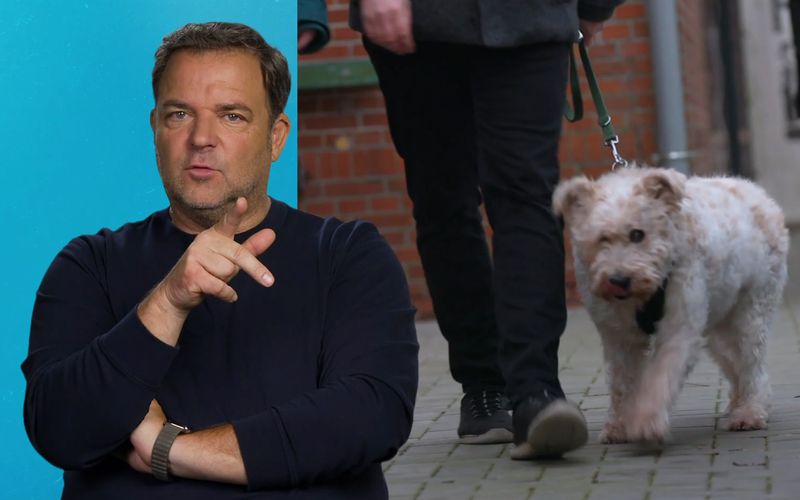 Martin Rütter sucht ein Zuhause für den fast blinden Rexi.