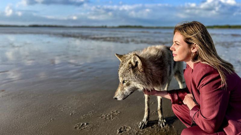 "Neuer Wind im Alten Land - Der Wolf"