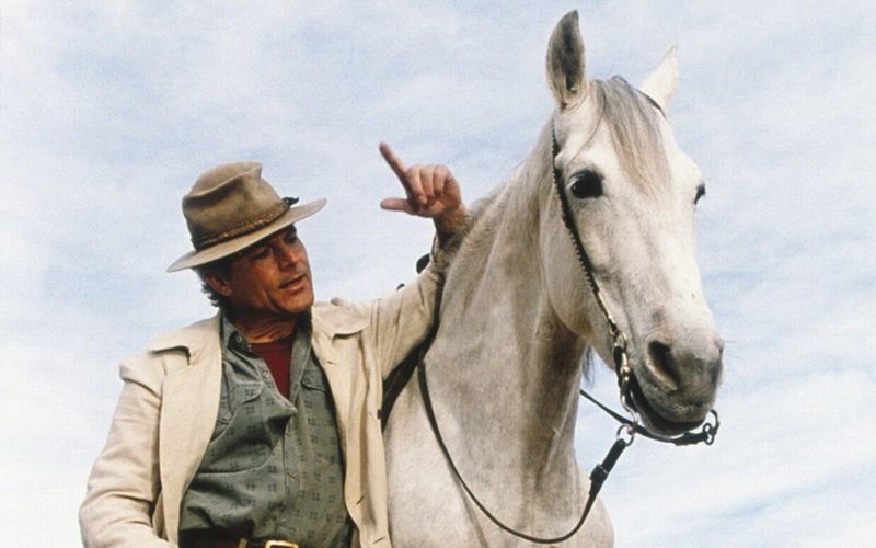 Terence Hill kehrte mit der "Lucky Luke"-Reihe nach vielen Jahren der Abwesenheit in das Western-Genre zurück.