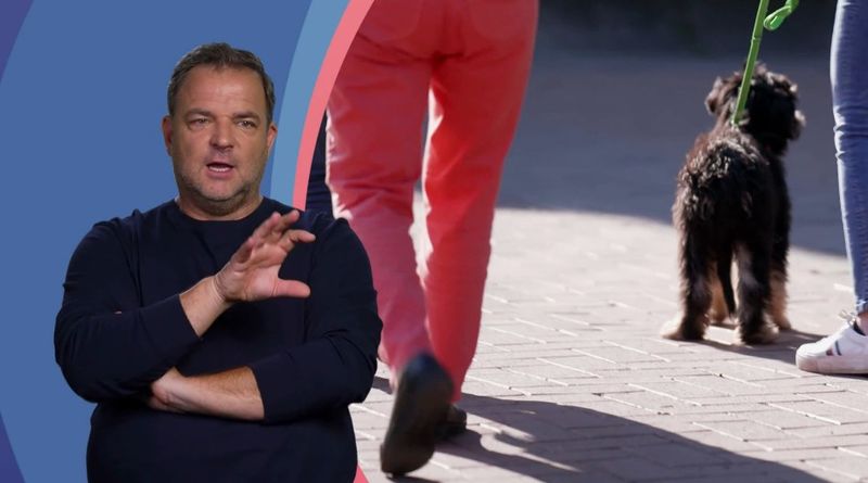 Welpe Nika hat beim Spaziergang in der Stadt noch große Probleme - ein Anblick, der Martin Rütter Sorgen bereitet.