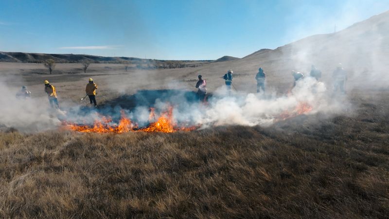 Kontrollierte Feuer in den kanadischen Prärien, werden heute im Kampf gegen Waldbrände wiederentdeckt.
