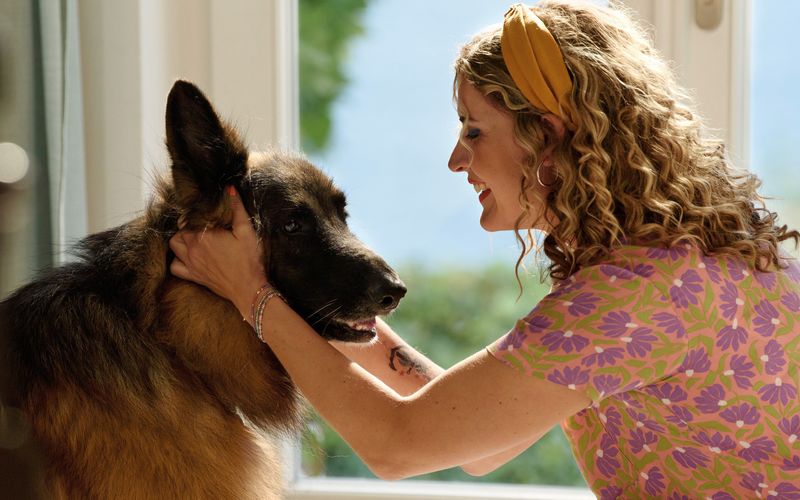 Nicht nur Praxishilfe Mandy Petersen (Morgane Ferru) hat den Hund eines Patienten ins Herz geschlossen. 