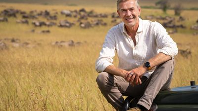 Bild zu Artikel Dirk Steffens