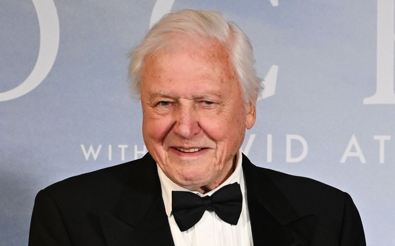 Am 8. Mai wird er 100 Jahre alt: Sir David Attenborough ist womöglich der berühmteste Tierfilmer aller Zeiten. Er ist nicht der einzige prominente "Jahrhundertmensch", auch die folgenden Stars erlebten ihren 100. Geburtstag. 