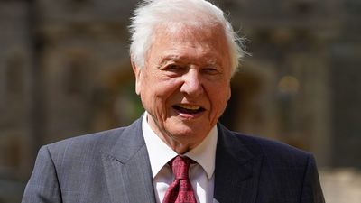 Bild zu Artikel David Attenborough