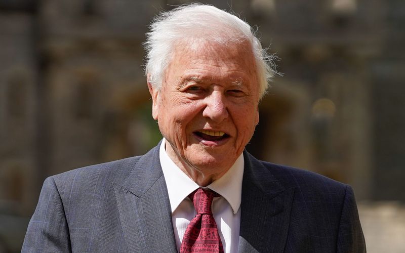 Sir David Attenborough feiert am 8. Mai seinen 100. Geburtstag. 