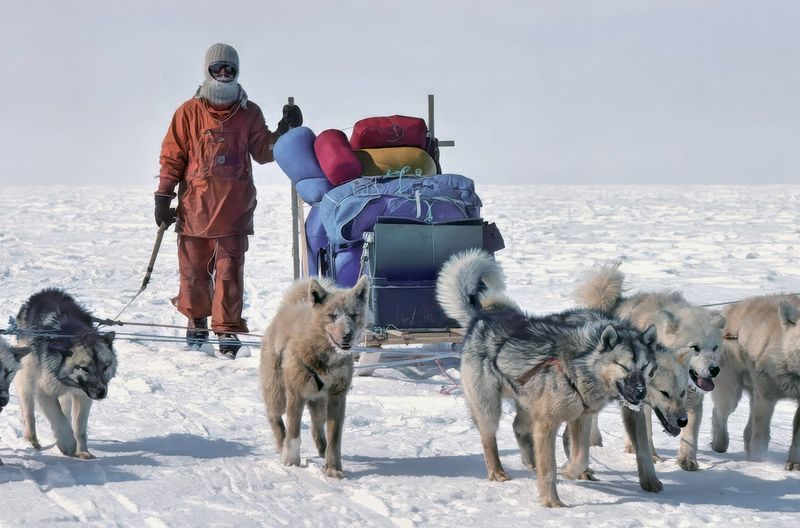 Auf den Spuren der berühmten Alfred Wegener-Expedition von 1931 unternimmt Fuchs eine 70-tägige Hundeschlittenexpedition über das grönländische Inlandeis von West nach Ost.