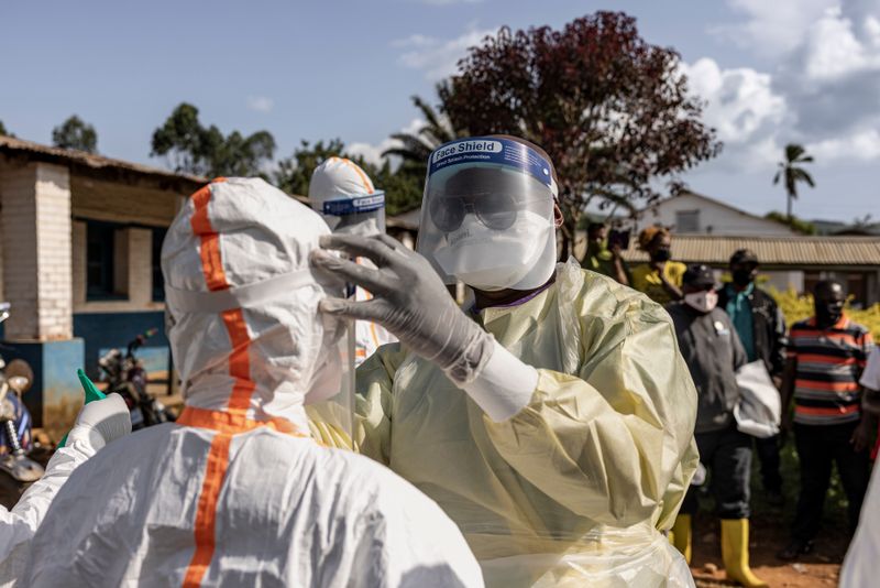 Ebola gehört zu den gefährlichsten Erregern und weist eine sehr hohe Sterblichkeitsrate auf.