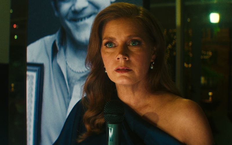 Anwältin Anna Bowden (Amy Adams), die normalerweise für unschuldig einsitzende und oft unterprivilegierte Gefangene kämpft, muss sich nun selbst gegen die Zerstörung ihres Lebens und das ihrer Familie wehren.